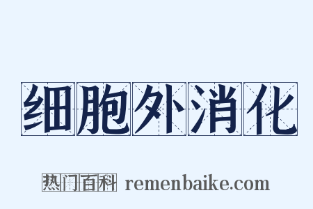 细胞外消化是什么意思的图片